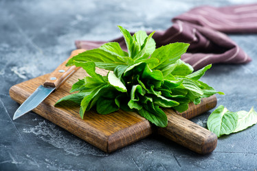 Similar image 13114928