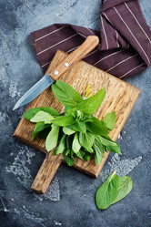 Similar image 13114931