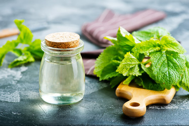 Similar image 13114947