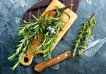 Similar image 13114949