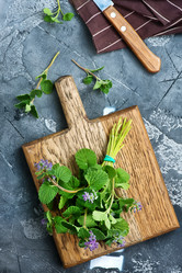 Similar image 13114974