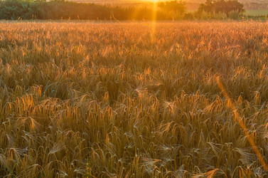 Similar image 13114181