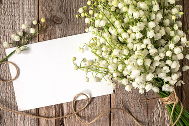 Similar image 13113648