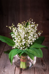 Similar image 13113649