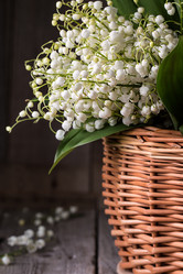 Similar image 13113650