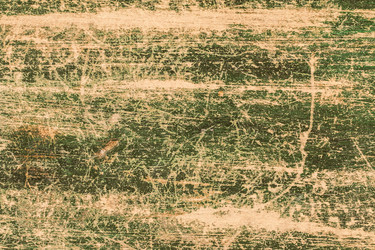 Similar image 13113652