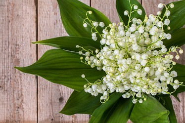 Similar image 13115533