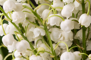 Similar image 13115534