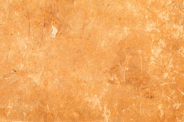 Similar image 13115539