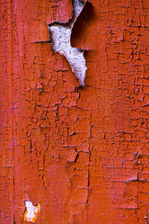 Similar image 13114227