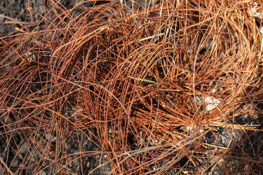 Similar image 13114230