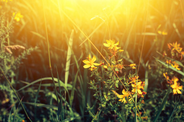 Similar image 13114232