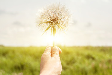 Similar image 13114234