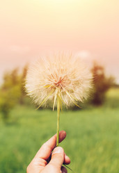 Similar image 13114235