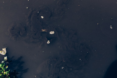 Similar image 13114236