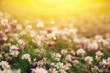 Similar image 13115112