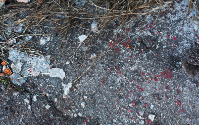 Similar image 13115117