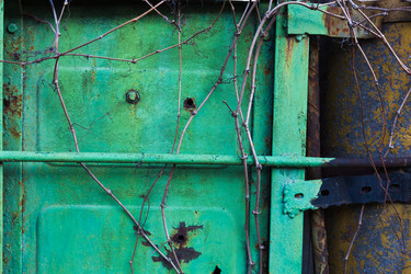 Similar image 13115118