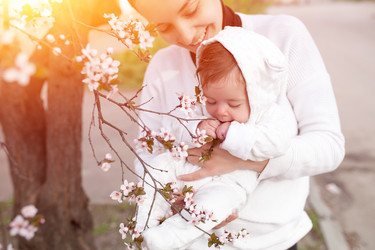 Similar image 13115152