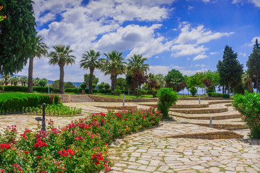 Similar image 13115624