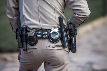 Similar image 13116491