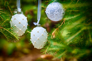 Similar image 13116210