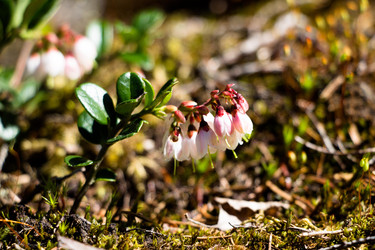 Similar image 13125849