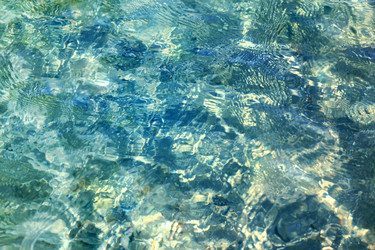 Similar image 13119525