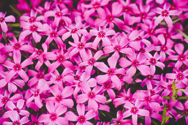 Similar image 13115444