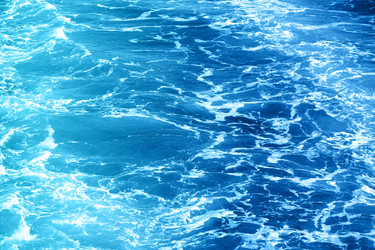 Similar image 13119526