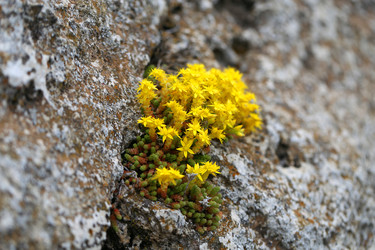 Similar image 13119533