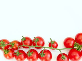 Similar image 13116443