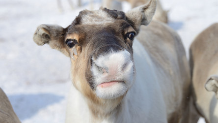 Similar image 13132312