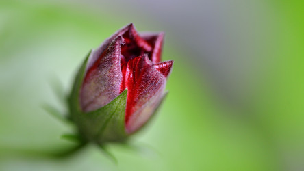 Similar image 13132313