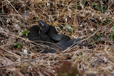 Similar image 13125870