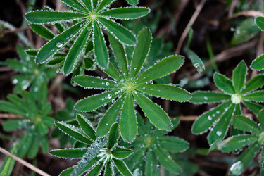 Similar image 13125872