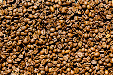 Similar image 13125893