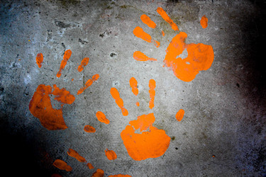 Similar image 13125901