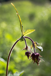 Similar image 13125923