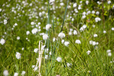 Similar image 13125926