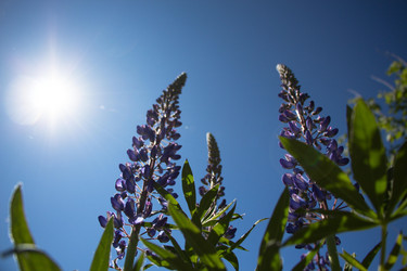 Similar image 13125927