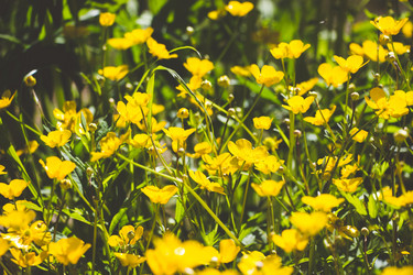 Similar image 13125928