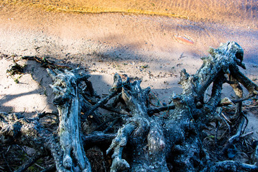 Similar image 13125930