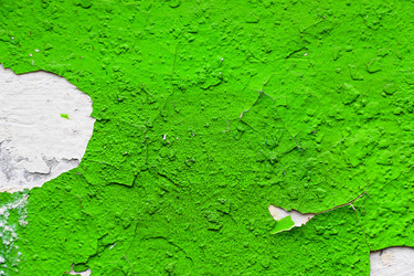 Similar image 13125876