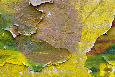 Similar image 13125882