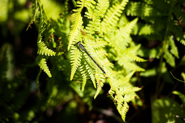 Similar image 13125886