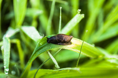 Similar image 13122228