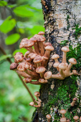 Similar image 13122229