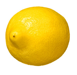 Similar image 13116049