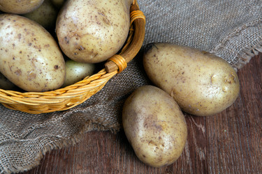 Similar image 13116429